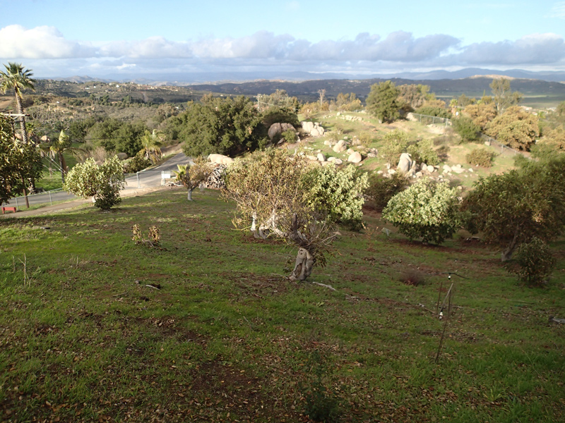 The view from the house site